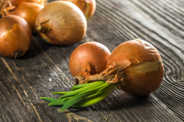 istock fresh onions from sprouting bulbs on wood background 1310435386