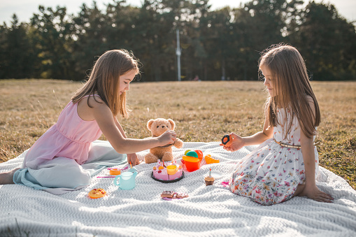 Two beautiful sisters playing with toys on picnic on summer day in park