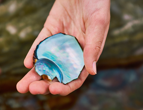 Girl shows the pearly inside of a sea shell.