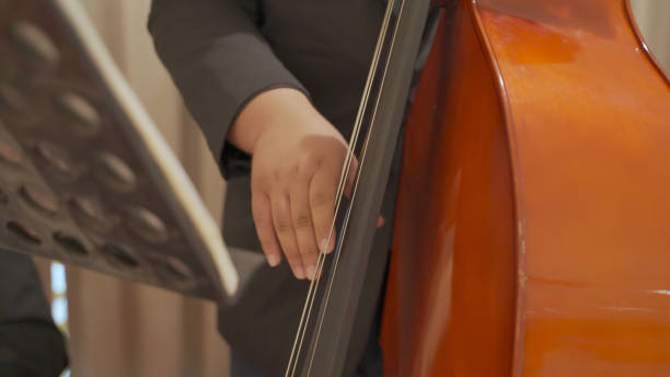 무대 공연에 콘트라베이스 또는 더블베이스를 재생 아시아 남성 손을 닫습니다.. - cello double bass composer bass 뉴스 사진 이미지