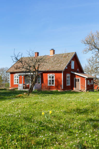 casa roja con flores silvestres en el jardín en la primavera - sweden nobody building exterior architectural feature fotografías e imágenes de stock