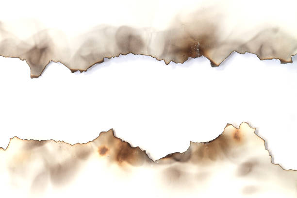istock Burnt old torn paper on white page background 1310446969