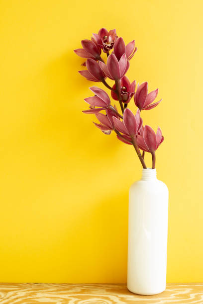 100,000+개의 최고의 꽃 배경화면 사진 · 100% 무료 다운로드 · Pexels 스톡 사진