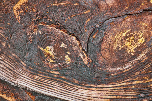 istock Distressed, weathered old wood with textured grain, suitable as background for text 1310447994