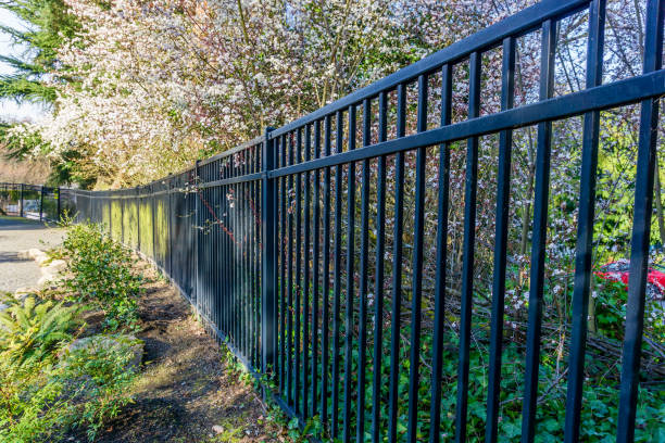 istock Botanical Garden Fences 1310449512