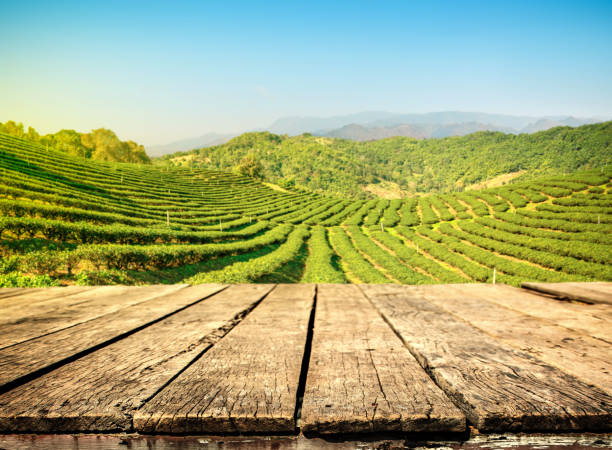 istock Empty wooden old table and blur tea plantation background 1310451750
