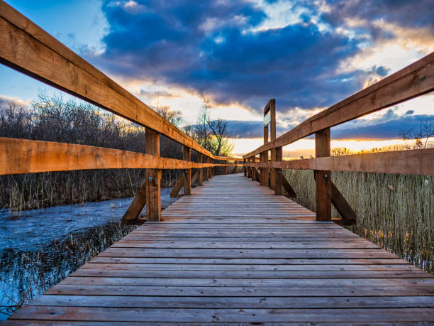 istock Walking Trail Through the Wetlands in National Park 1310451906