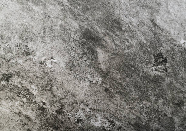 istock Grunge Rough Surface of Cement Floor Background 1310452281