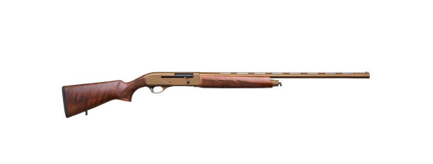 istock Modern semi-automatic shotgun with a wooden butt isolate on a white background. Weapons for hunting, sports and self-defense. Shotgun in bronze color. 1310452702