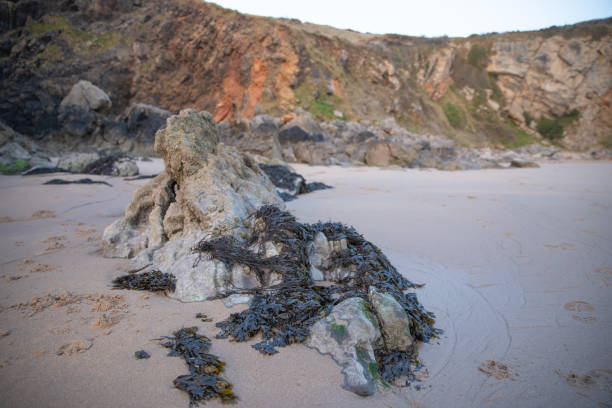 istock Broad Haven South, Pembrokeshire, Wales at dawn 1310453872