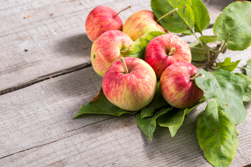 branch of red apples on the table