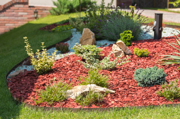 istock bed decorative stones with flowers and oak chips 1310457216