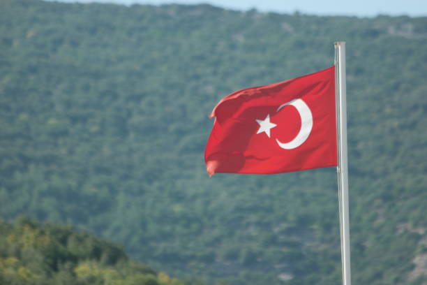 istock Flag of Turkey on blurred green nature background. 1310459427