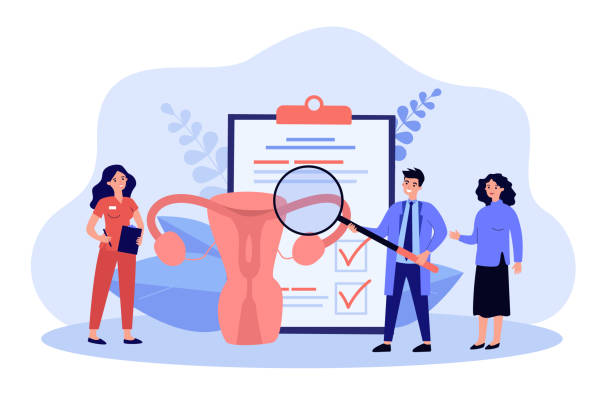 Cartoon medical workers examining uterus with magnifier Cartoon medical workers examining uterus with magnifier. Flat vector illustration. Metaphor of treating endometriosis, infertility, vaginal illnesses. Medicine, woman healthcare, gynecology concept gynecology stock illustrations