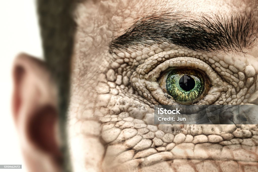 Reptiloid as science fiction character or reptilian conspiracy theory concept. Reptilian humanoid. Reptiloid as science fiction character or reptilian conspiracy theory concept. Reptile Stock Photo