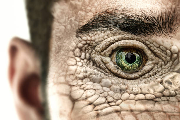 рептилоид как научно-фантастический персонаж или концепция теории заговора рептилий. - monster horror spooky human face стоковые фото и изображения
