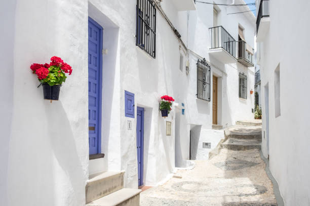 Corner of the white town of Filigrana. Malaga. Corner of the white town of Filigrana. Malaga. Mosaic on the floor. spanish flower pots stock pictures, royalty-free photos & images