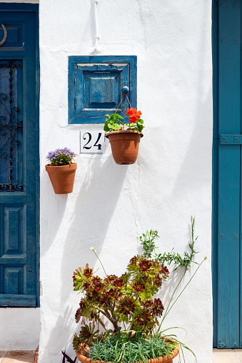 Blue door in white wall surrounded by green vines.