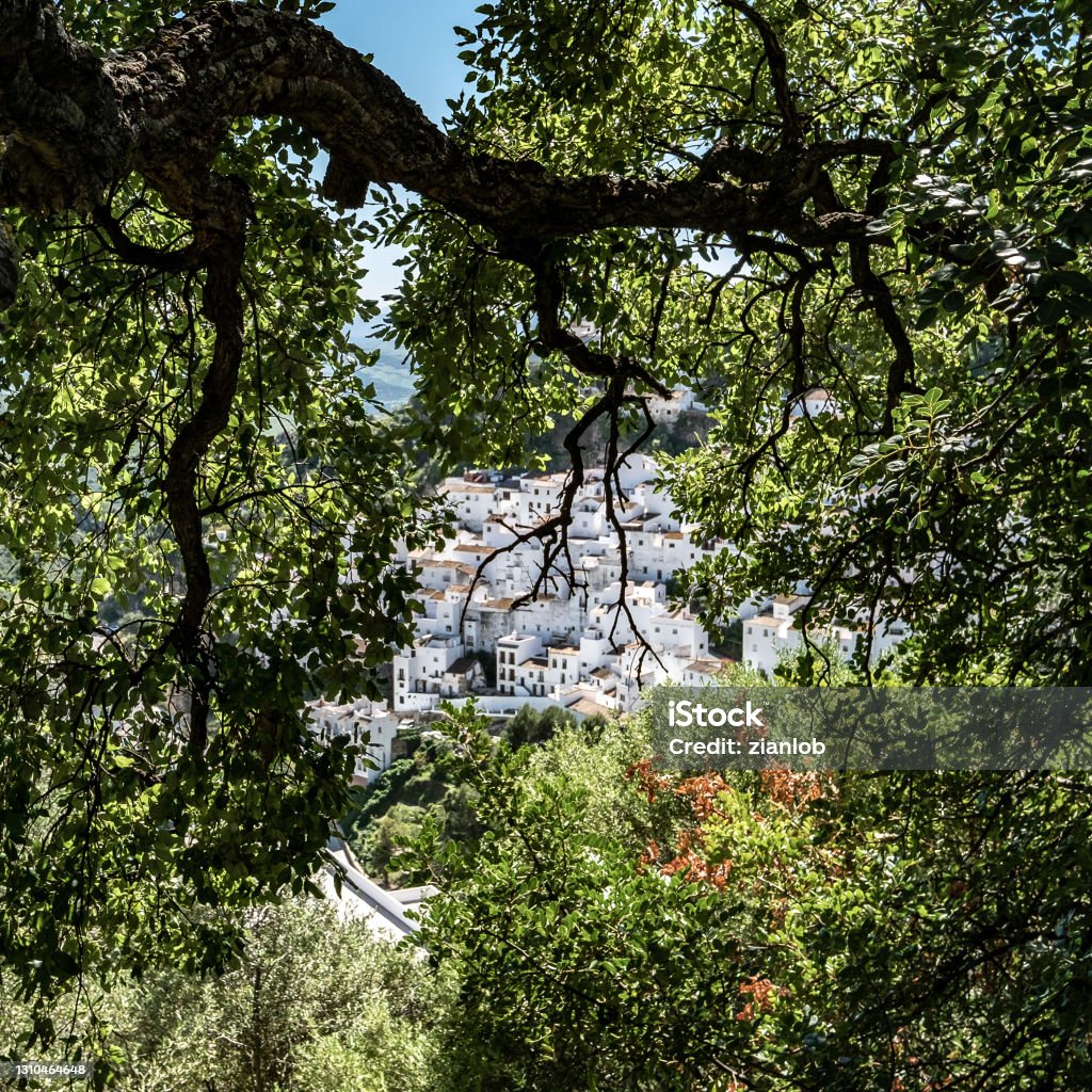 Casares seen between the trees. Malaga. Casares. Typical Andalusian white village in the province of Malaga. Andalusia Stock Photo