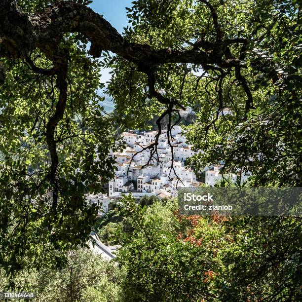 Casares Seen Between The Trees Malaga Stock Photo - Download Image Now - Andalusia, Village, White Color