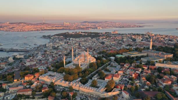 istock Aerial view of Istanbul 1310466009