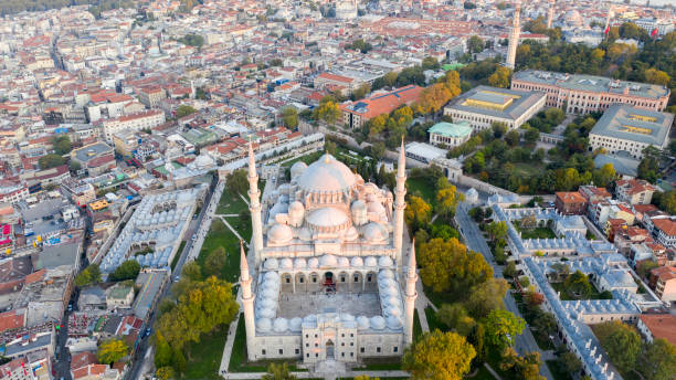 istock Aerial view of Istanbul 1310467508