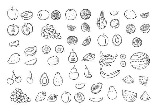 Large doodle set of natural tropical and citrus fruits in hand drawn style. Whole, cut into halves and parts. Vegan, vegetarian food. Organic food, healthy eating icons. Collection isolated vector illustration