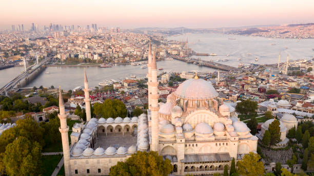 istock Aerial view of Istanbul 1310467705