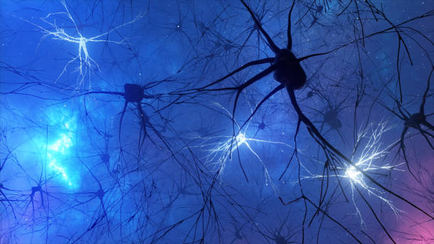 illustrazione 3d dell'attività di neuroni e sinapsi. connessioni neurali nello spazio, radioattività, neurotrasmettitori, cervello, assoni. impulsi elettrici che trasmettono segnali. concetto mentale. - human nervous system synapse brain cell foto e immagini stock