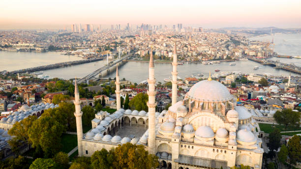 istock Aerial view of Istanbul 1310467891