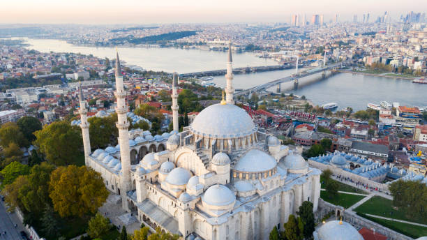 istock Aerial view of Istanbul 1310468798