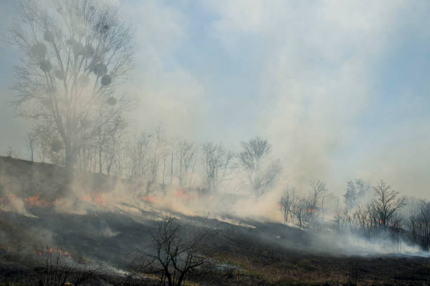 istock black box with the remains after the fire smoke 1310469635