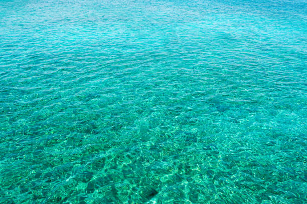 istock Water in the Mediterranean 1310472428