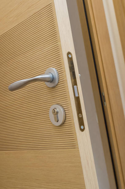 istock Door with a metal handle 1310474905