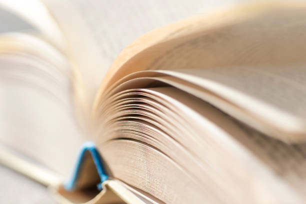 istock pages of book in bright light 1310475150