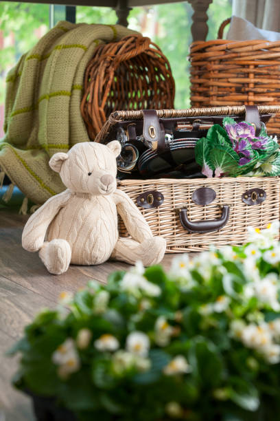 istock A suitcase for a picnic with dishes 1310479547