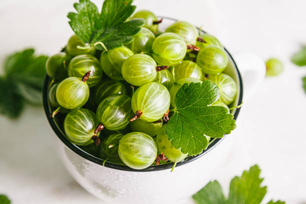 istock Green gooseberries with leaves in a white ceramic cup on a natural marble background. 1310480320