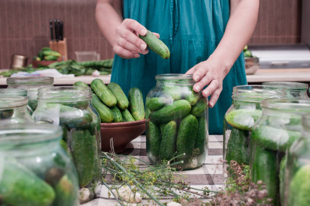 istock women's hands put cucumbers in a can for canning 1310481000