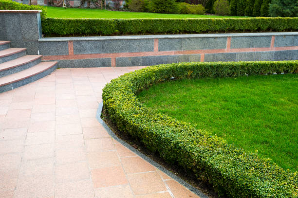 istock Bushes and plants near the path in landscape design 1310483506