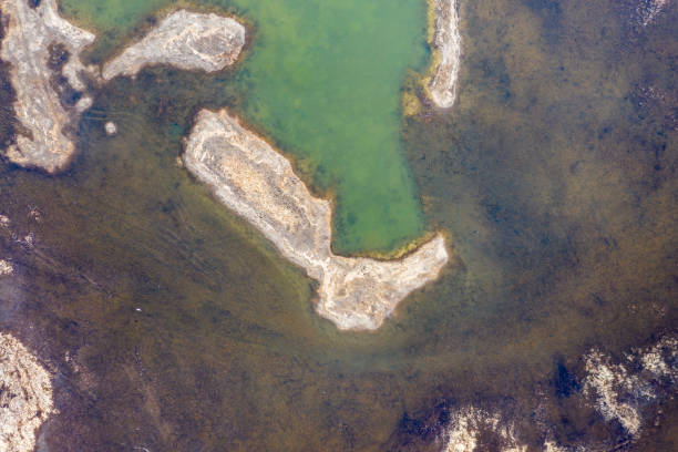 istock Long Point Provincial Park, Ontario, Canada 1310486606