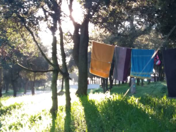 istock Colorful Towers drying in the sun 1310491274