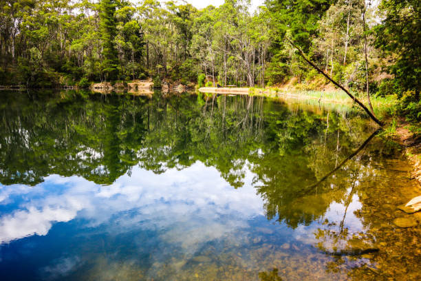 istock Harrietville, Victoria, Australia 1310494324