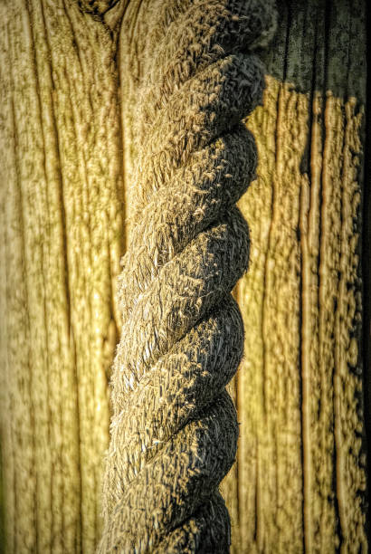 istock Rope Hanging down against wood background 1310495343