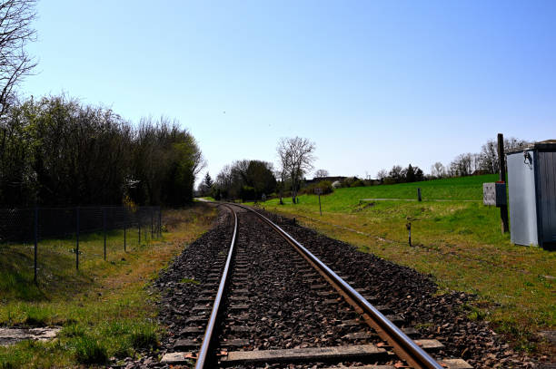 istock Railroad track between green trees leading to the horizon 1310503407