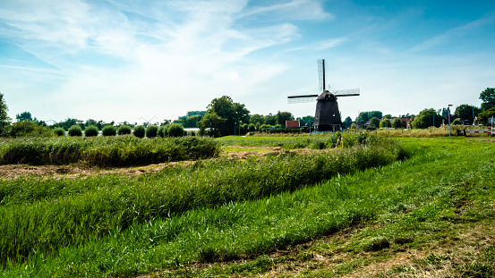 Typical Dutch landscape with windmill near the city of Alkmaar, the Netherlands