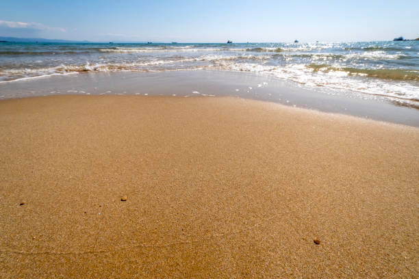 istock Soft wave of turquoise sea water on the sandy beach. 1310512632