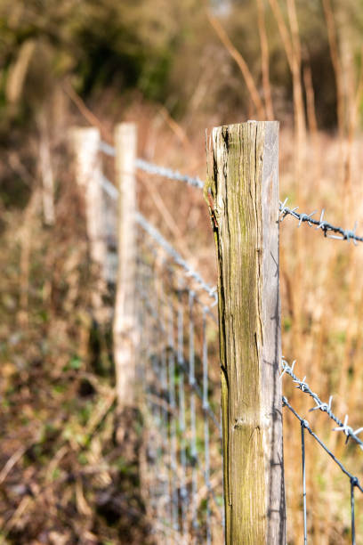 istock A fence in a Park 1310514734