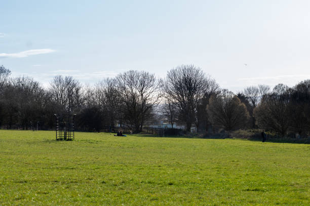 istock A Meadow In A Public Park of Bristol 1310514791