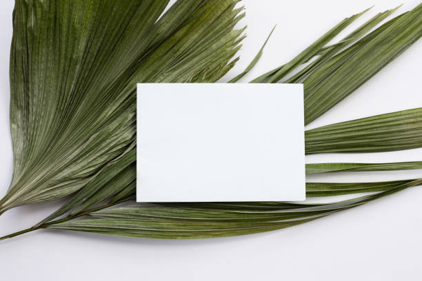 istock Blank paper on tropical palm dry leaves. 1310516286