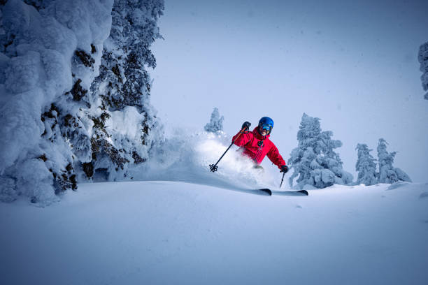 pulverski - skiing powder snow flash snow stock-fotos und bilder